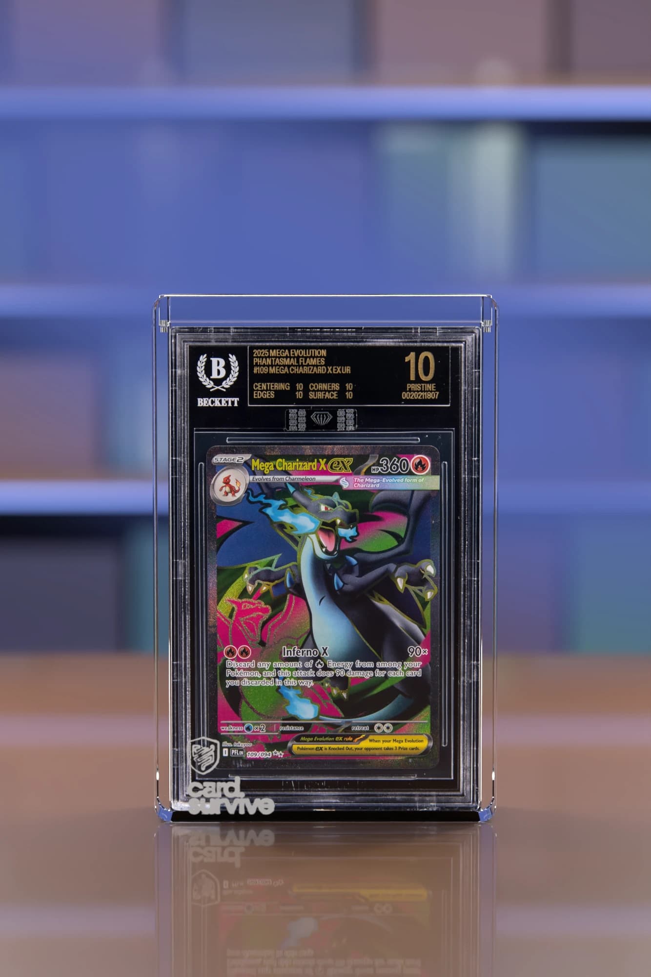 The Tank with a Beckett slab of Mega Charizard X inside, front view, on a wooden counter in front of a wall of sealed booster boxes, cobalt blue light.