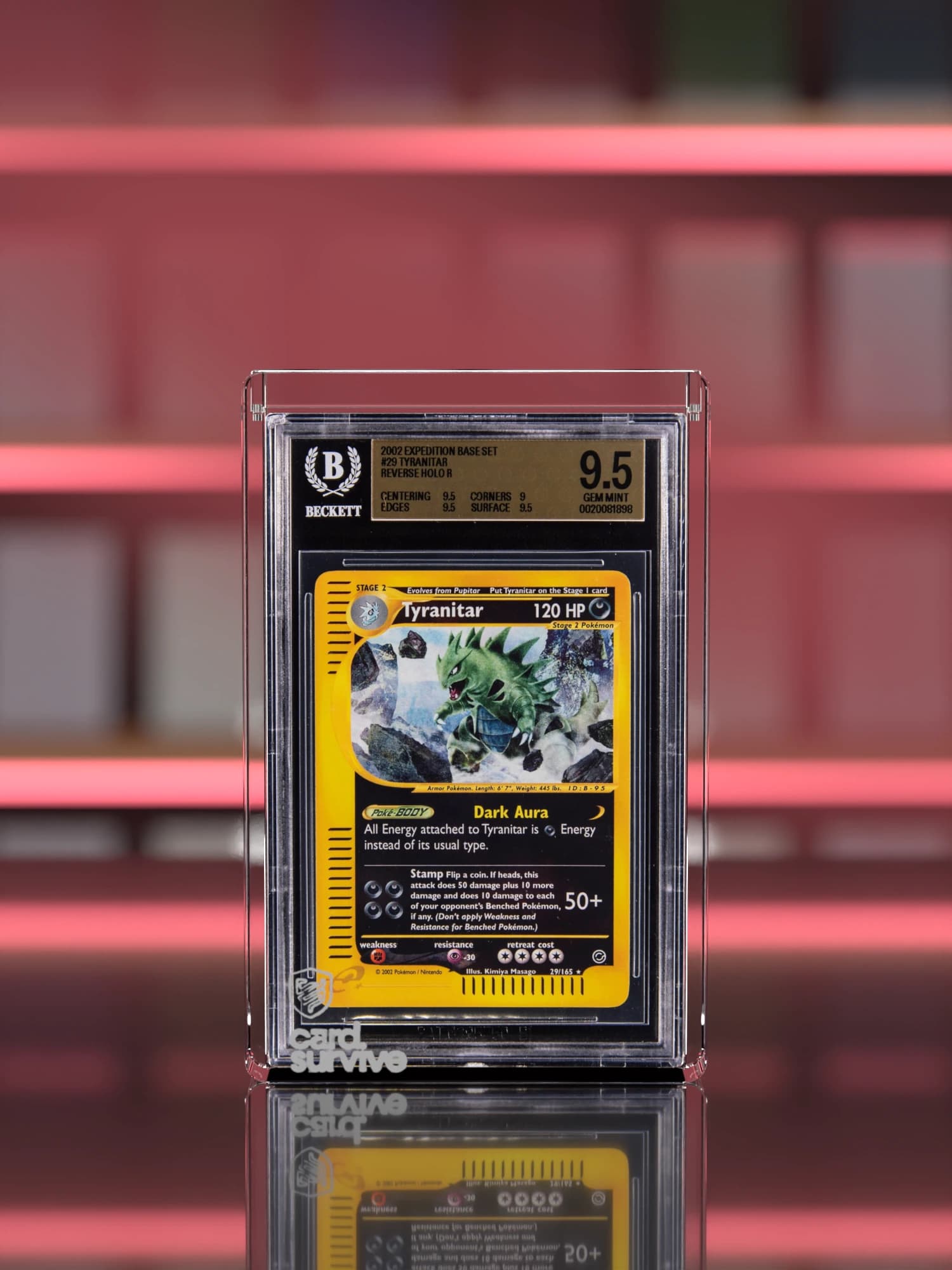 The Tank with a Beckett slab of Tyranitar inside, front view, in front of a collector shelf of graded slabs, crimson light.